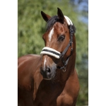 Norton-Kantar-Mouton-Synthetique-Doux