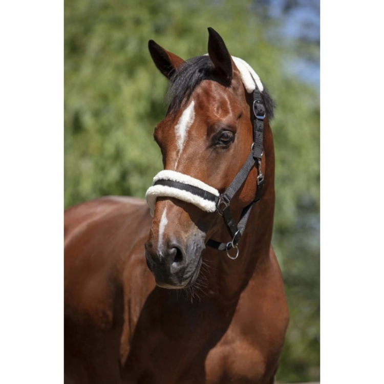 Norton-Kantar-Mouton-Synthetique-Doux
