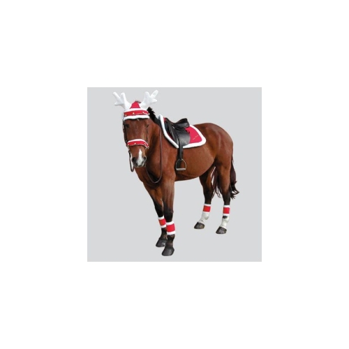 christmas-ear-cap-in-reindeers-antlers-shape (1).jpg