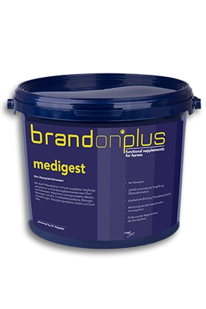 kuracja oczyszczająca Brandon Plus Medigest
