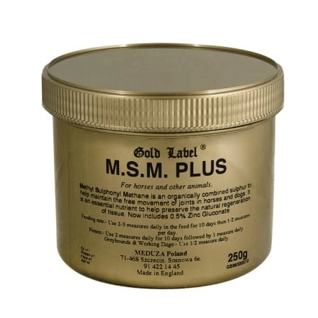 preparat wzmacniający stawy Gold Label MSM Plus