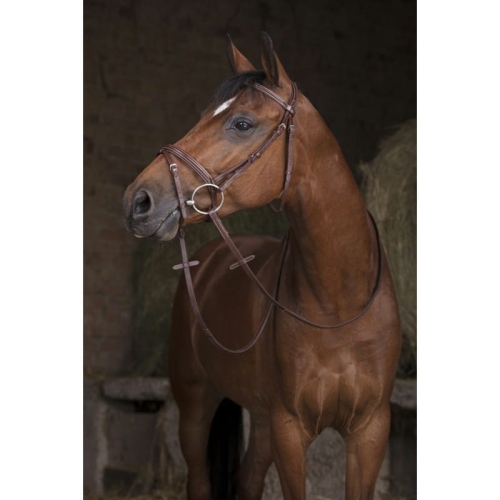 Norton-wodze-skorzane-Pro-II-16-mm