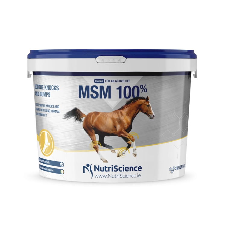 naturalny suplement na stawy NutriScience MSM 100%