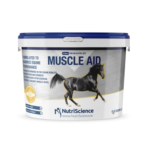 suplement na mięśnie NutriScience Muscle Aid