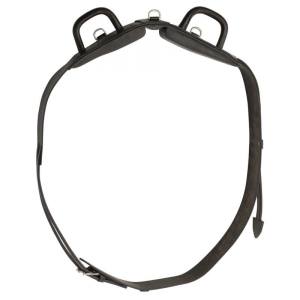 Pas do lonżowania skórzany Norton "Leather"