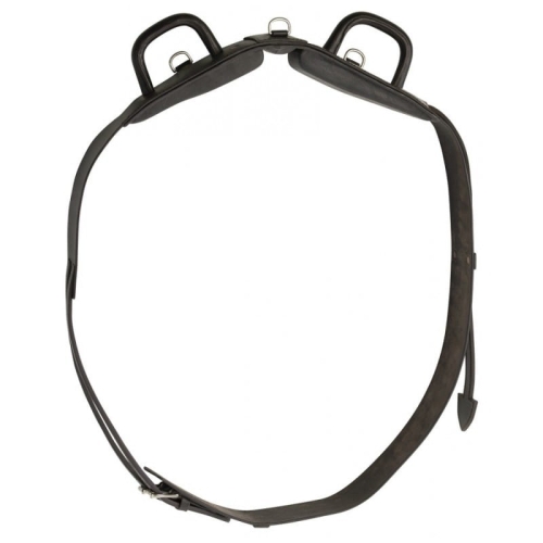 Norton-pas-do-lonzowania-skorzany-Leather