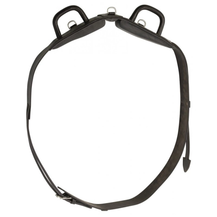 Norton-pas-do-lonzowania-skorzany-Leather