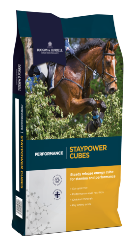 granulat dla koni sportowych i wrzodowych Dodson & Horrell Staypower Cubes
