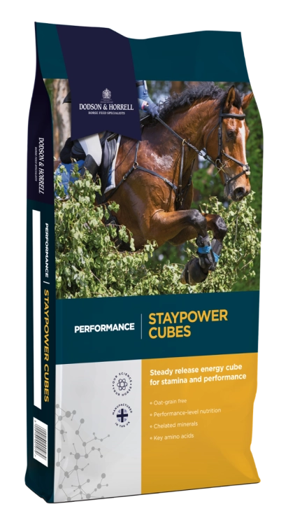 granulat dla koni sportowych i wrzodowych Dodson & Horrell Staypower Cubes
