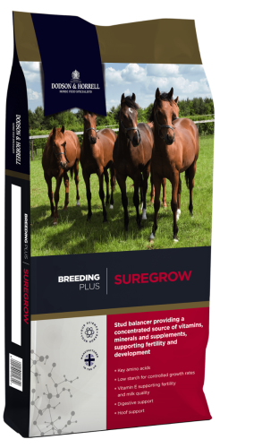 granulat dla klaczy hodowlanych, źrebnych i młodych koni Dodson & Horrell Suregrow Pellets