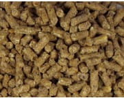 granulat dla klaczy hodowlanych, źrebnych i młodych koni Dodson & Horrell Suregrow Pellets