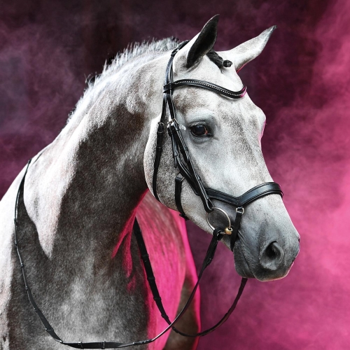 Ogłowie anatomiczne BUSSE Feeling