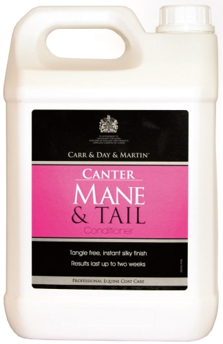 manet.jpg