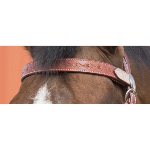 westride-two-tone-bridle (4).jpg