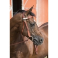 westride-two-tone-bridle.jpg