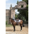 Pad westernowy WESTRIDE by Franck Perret