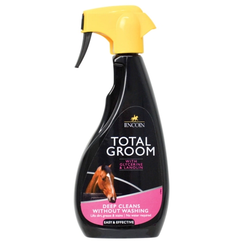 suchy-szampon-lincoln-total-groom