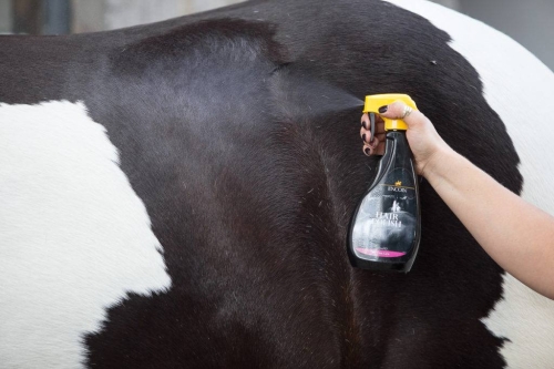 spray-nablyszczajacy-lincoln-hair-polish