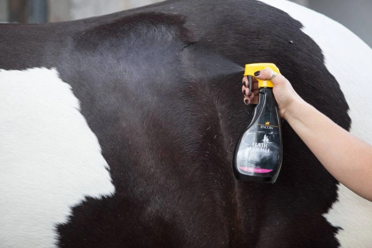 spray-nablyszczajacy-lincoln-hair-polish