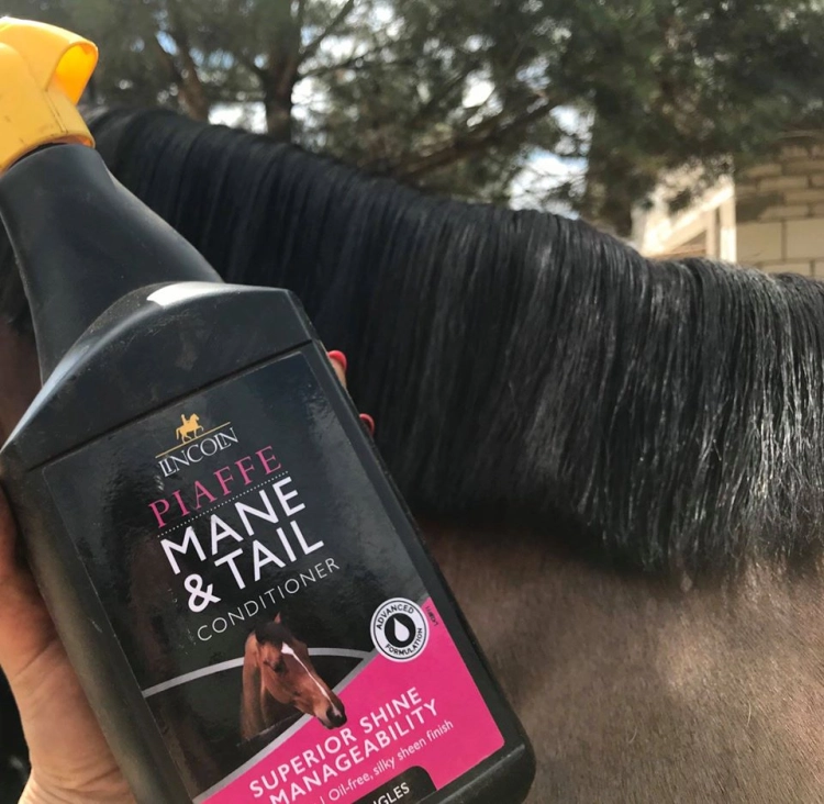 odzywka-do-grzywy-i-ogona-lincoln-piaffe-mane-and-tail-conditioner