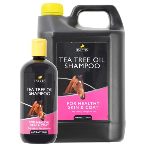 szampon-z-olejkiem-z-drzewa-herbacianego-lincoln-tea-tree-oil