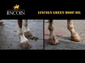 zielony-olej-do-kopyt-lincoln-green-hoof-oil