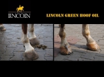 zielony-olej-do-kopyt-lincoln-green-hoof-oil