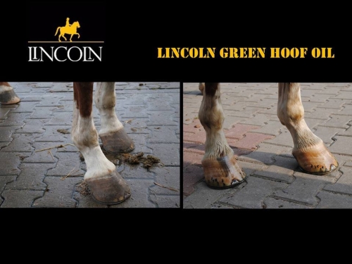 zielony-olej-do-kopyt-lincoln-green-hoof-oil