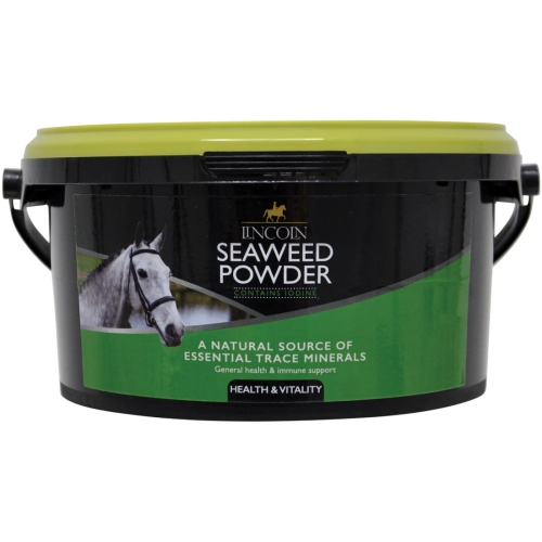 wodorosty-lincoln-seaweed-powder