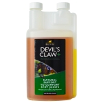 suplement-na-stawy-z-czarcim-pazurem-i-msm-lincoln-devils-claw