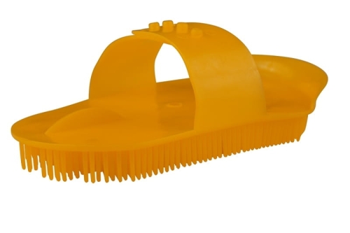 z.jpg