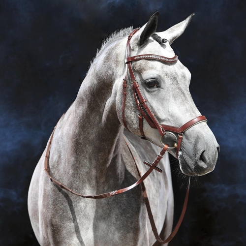 Ogłowie-anatomiczne-BUSSE-Modena