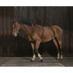 Norton-Pomoc-do-lonżowania-Gentle-Stretching
