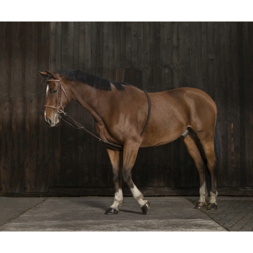 Norton-Pomoc-do-lonżowania-Gentle-Stretching