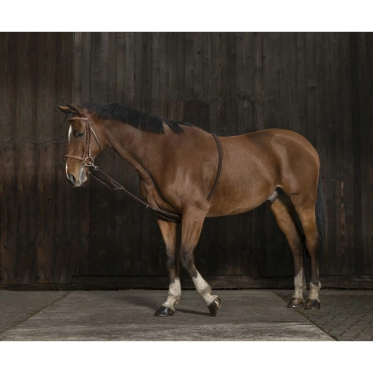 Norton-Pomoc-do-lonżowania-Gentle-Stretching