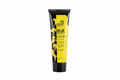 pasta-siarczanowa-do-strzalek-black-horse-blue-protect-sulfate-paste