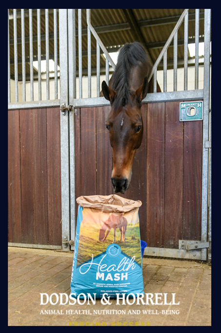 horse Health mash.png