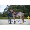 equitheme-infinity-saddle-pad (1).jpg