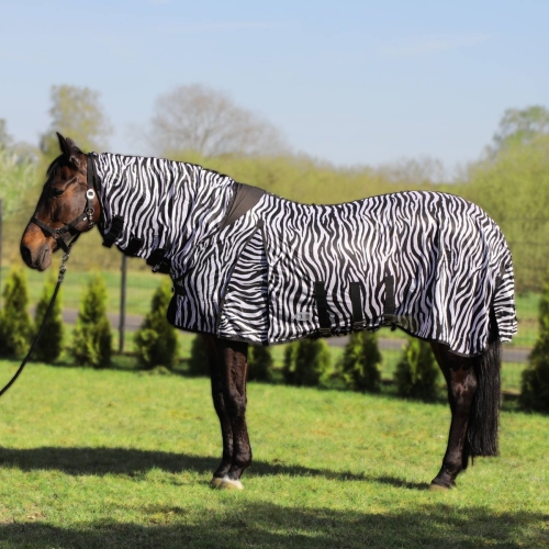 York derka siatkowa z kapturem Zebra