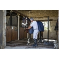 equitheme-georg-breeches-men (11).jpg