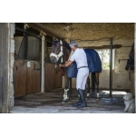 equitheme-georg-breeches-men (11).jpg