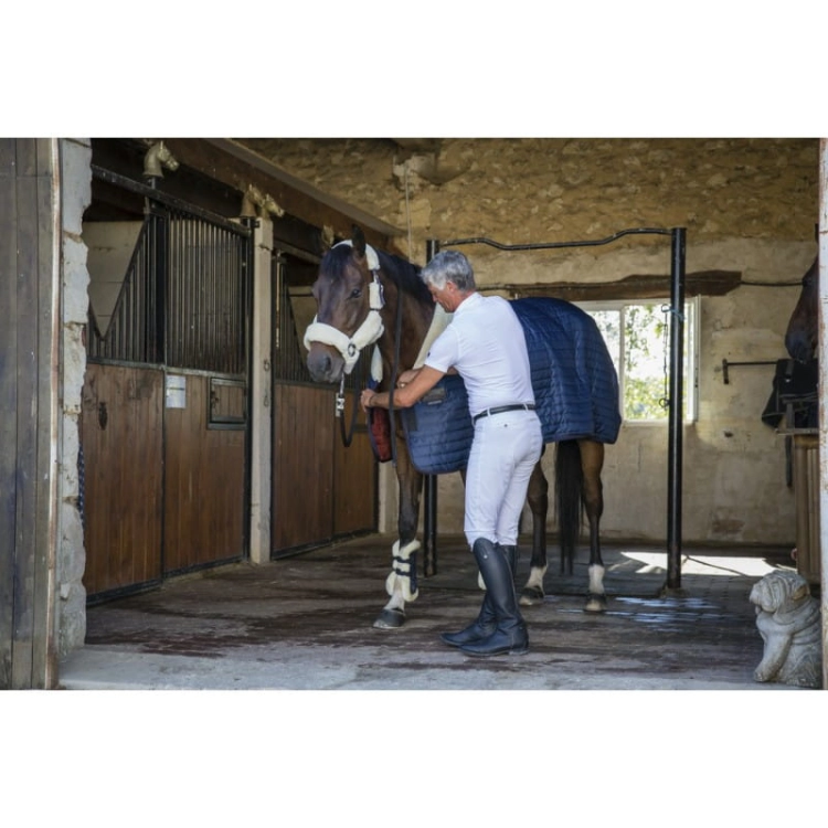 equitheme-georg-breeches-men (11).jpg