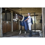 equitheme-georg-breeches-men (12).jpg