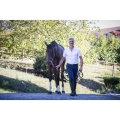 equitheme-georg-breeches-men (16).jpg