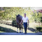 equitheme-georg-breeches-men (16).jpg