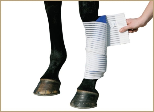 stubben-bandaz-do-okladu-chlodzacego-kryo-kompakt-elastic