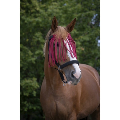 Norton-naczulek-z-frendlami-Fly-Browband