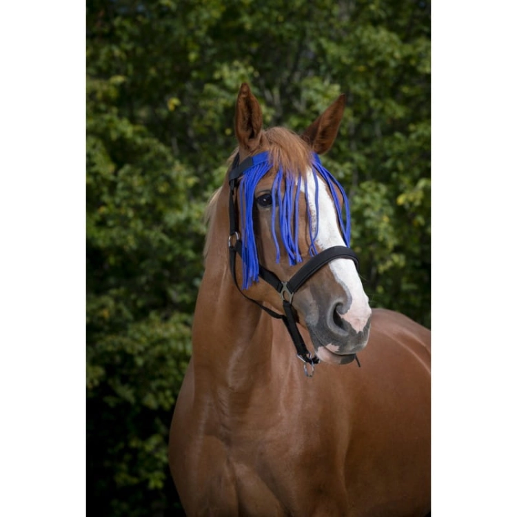 Norton-naczulek-z-frendlami-Fly-Browband