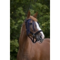 Norton-naczulek-z-frendlami-Fly-Browband