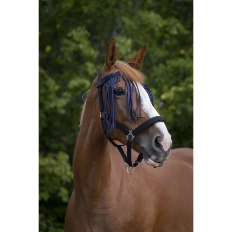 Norton-naczulek-z-frendlami-Fly-Browband